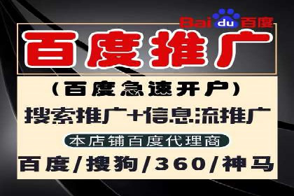某某sem公司助力某电商企业实现业绩大增的秘诀